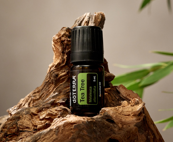 Energie Plus aromaterapia terapeutyczna
